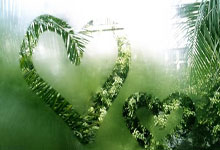 九游-大坂直美迎来十五赛季高光表现，湖人球迷沸腾！的简单介绍