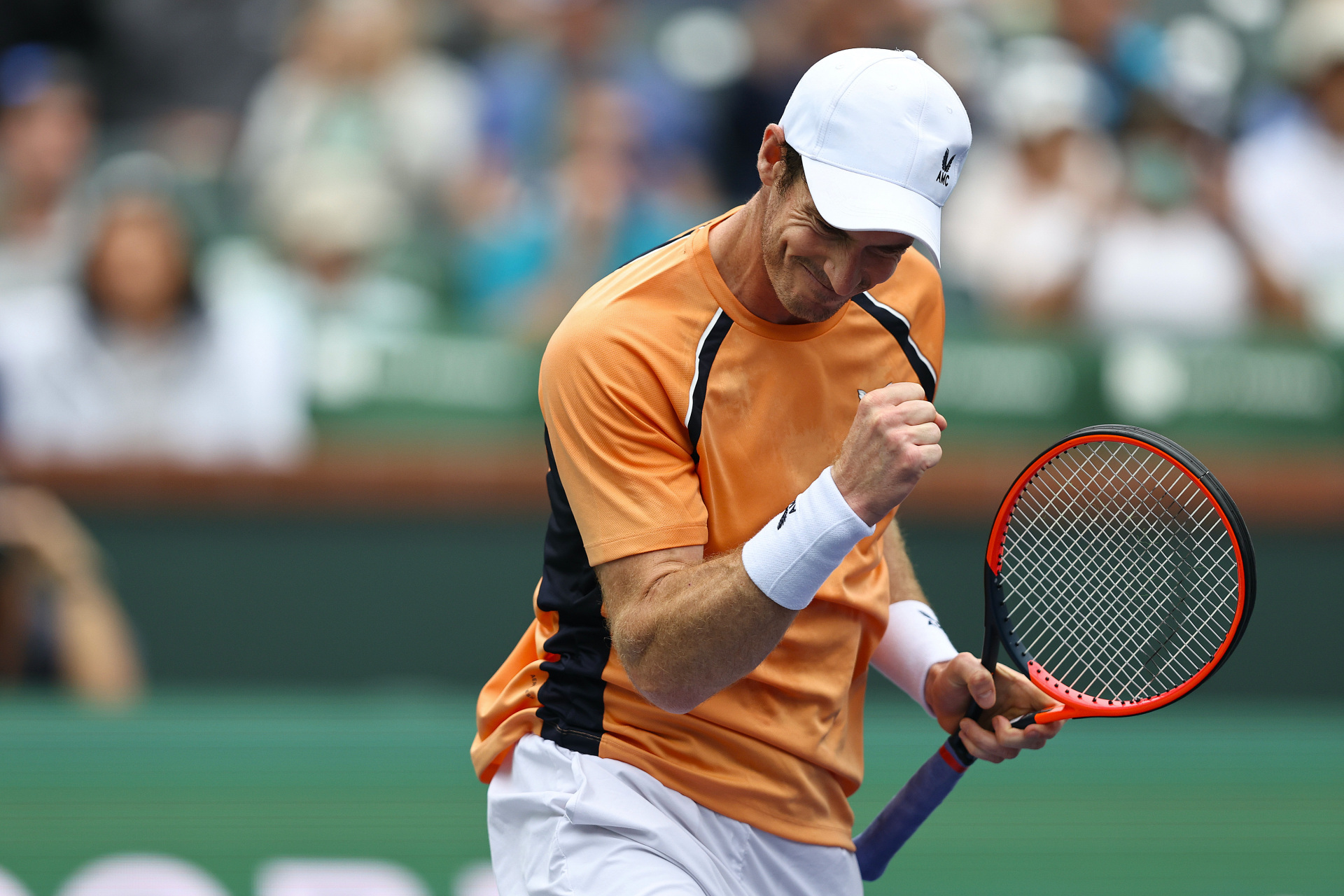 关于穆雷迎来十二赛季高光表现，篮网球迷沸腾！的信息